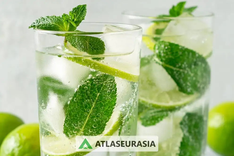 اسانس نوشیدنی موهیتو